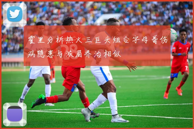 霍里分析热火三巨头组合字母哥伤病隐患与浓眉乔治相似